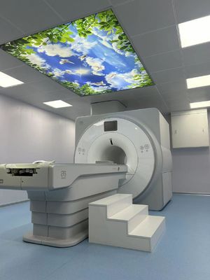 qualità Sistemi di risonanza di immagini 1.5T Faraday Cage Box 100MHZ per superconduttori magnetici fabbrica