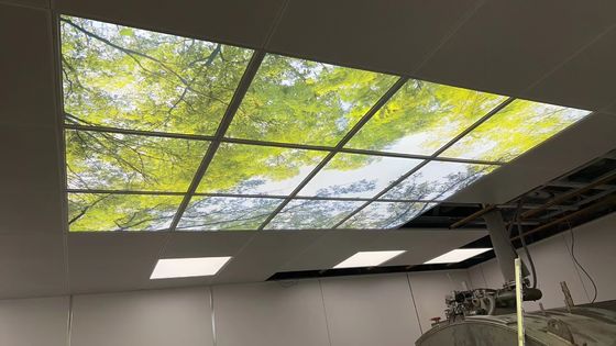 Un buon prezzo. 4800K LED MRI Illuminazione a LED Pendente intagliato Lampade di soffitto interne in linea