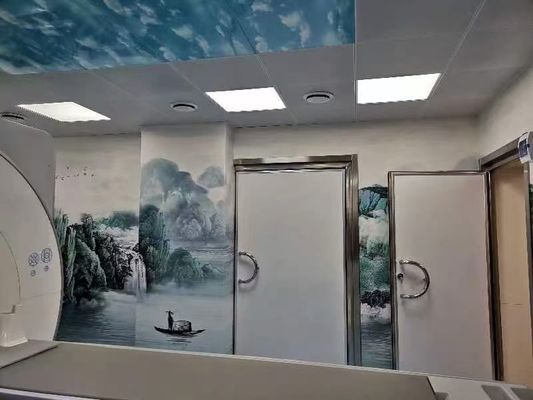 Un buon prezzo. STC 45 Classe di trasmissione del suono Porta di schermatura senza barriere con cerniere a sfere per carichi pesanti in linea